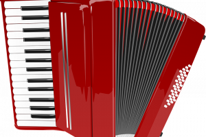 ASSOCIATION DES AMIS DE L'ACCORDEON