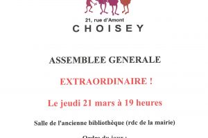 Assemblée Générale Extraordinaire Comité des Fêtes