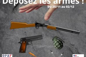 Opération " Déposez les armes "