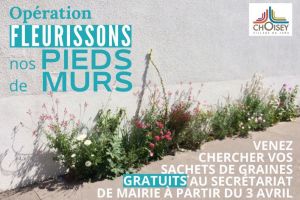 Opération "FLEURISSONS nos PIEDS de MURS"