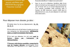 Aide financière pour la destruction de nids de frelons asiatiques